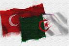 Турция и Алжир пообещали развивать двусторонние отношения и сотрудничество по региональным вопросам
