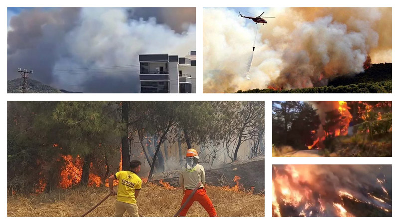В пяти провинциях Турции продолжаются лесные пожары, часть взята под контроль