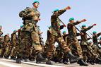В армии Турции число профессионалов впервые превысило численность срочников