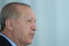 «Эрдоган ведет хитроумную игру в кошки-мышки с оппозицией»