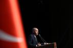 «Эрдоган снова у руля правительства»