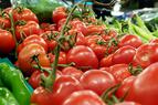Чем недовольны турецкие экспортеры помидоров в Россию