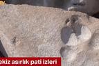 В Турции нашли следы собак и кошек, оставленные 800 лет назад