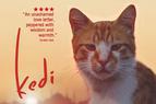 Турецкий «Город кошек» вошёл в список 10 лучших фильмов по версии журнала Timе