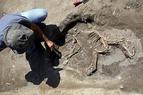 В турецкой провинции Ван археологи обнаружили 3000-летний скелет собаки