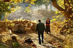 Фильм Джейлана «Дикая груша» стал номинантом на «Оскар» от Турции