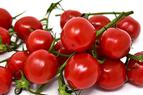 Налоговые льготы увеличивают контрабанду томатов из Турции в Армению