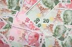 Турция объявила о профиците бюджета благодаря денежным средствам, предоставленным ЦБ
