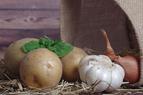 Муниципалитет турецкого города бесплатно раздаст картофель и лук