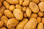 Турция установила беспошлинную квоту на импорт 200 тыс. тонн картофеля