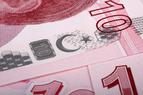 «Падение турецкой лиры вынудило компании отказаться от контрактов в местной валюте»