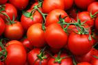 Россия не купила турецкие помидоры – потери оцениваются в $ 100 млн