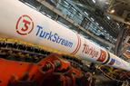 Эрдоган подтвердил планы создания в Турции газового хаба