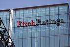 Fitch: Турецким банкам грозит политическая неопределенность