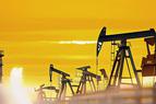 "Казмунайгаз" и Turkish Petroleum Corporation намерены сотрудничать в добыче углеводородов