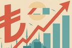 Годовая инфляция в Турции в августе снизилась до 32,95%