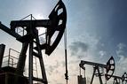 Турция выпустит 11,6 миллиона баррелей нефти из стратегических резервов