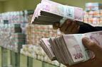 Минфин Турции заявил об устойчивости экономики к внешним потрясениям