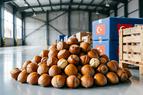 Экспорт фундука из Турции достиг $1,2 млрд за пять месяцев