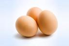 Россельхознадзор открыл поставки инкубационного яйца с шести турецких предприятий