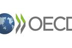 Экономист ОЭСР: Турция к 2026 году достигнет устойчивого роста