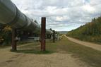 Сийярто: Компании Венгрии и Турции создадут СП для добычи нефти и газа
