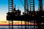 Эрдоган заявил об обнаружении крупного месторождения газа в Черном море