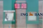 Банк ING Group: Экономическая активность в Турции замедлится в виду высокой волатильности лиры