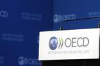 ОЭСР: В этом году рост турецкого рынка может составить 5,3%