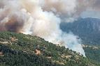 В Турции в 2017 году в результате пожаров пострадали 11 тыс. 781 гектар лесных угодий