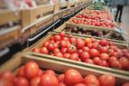 Турция намерена увеличить поставки помидоров в Россию