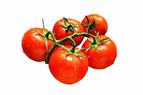 Турция надеется на то, что РФ снимет ограничения на поставки томатов