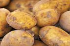 Правительство Турции намерено разрешить импорт картофеля и лука в связи со скачком цен