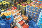 Турецкие экспортеры продуктов питания намерены увеличить поставки в Россию