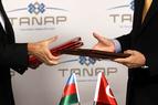 Азербайджан ратифицировал соглашение по газопроводу TANAP с Турцией