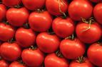 Ткачёв: Россия не будет спешить с расширением поставок томатов из Турции