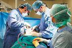 Турция входит в тройку мировых лидеров в сфере трансплантации почек и печени
