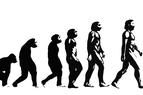 В школах Турции из программы изъяли теорию эволюции Дарвина