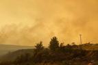 В Турции локализованы 57 из 71 очага возгорания лесных пожаров