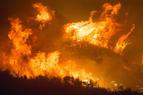 Власти: Порядка 100 га леса сгорело при природном пожаре в турецком Бодруме