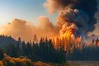 В Измире вспыхнули два лесных пожара, их тушит авиация