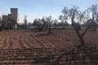 Турецкая провинция Килис подверглась обстрелу с сирийской территории