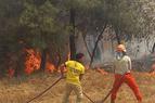Лесные пожары не угрожают объектам туризма, заверили власти Турции