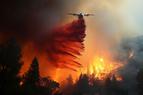 Порядка 2,7 тыс. человек тушат лесной пожар у Дарданелл, пролив временно закрыт