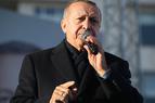 В Турции отец и дочь обвиняют друг друга в оскорблении Эрдогана