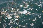 Власти Турции оштрафовали 87 судов на сумму 5,7 млн лир за незаконный сброс мусора в море
