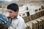 В «Год против детского труда» в Турции выросло его использование