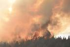 На западе Турции более 4 часов бушует лесной пожар и продолжает распространяться