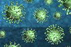 Число погибших от коронавируса в Турции достигло 4 тыс. 397 человек