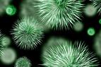 В Турции зафиксирован первый случай заражения коронавирусом нового типа